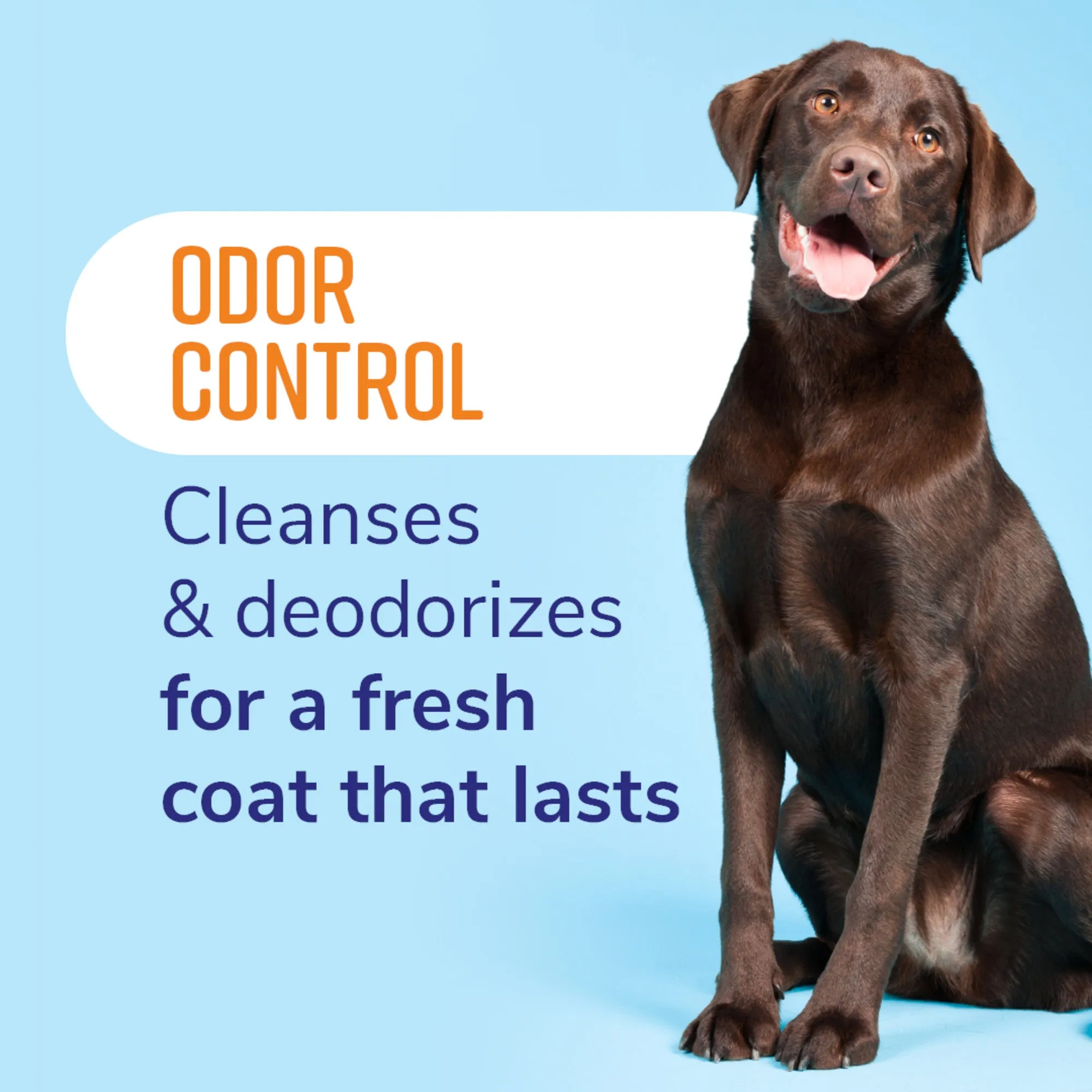 20% OFF: Naturél Promise Fresh & Soothing Odor Control Refreshing Shampoo For Dogs & Cats