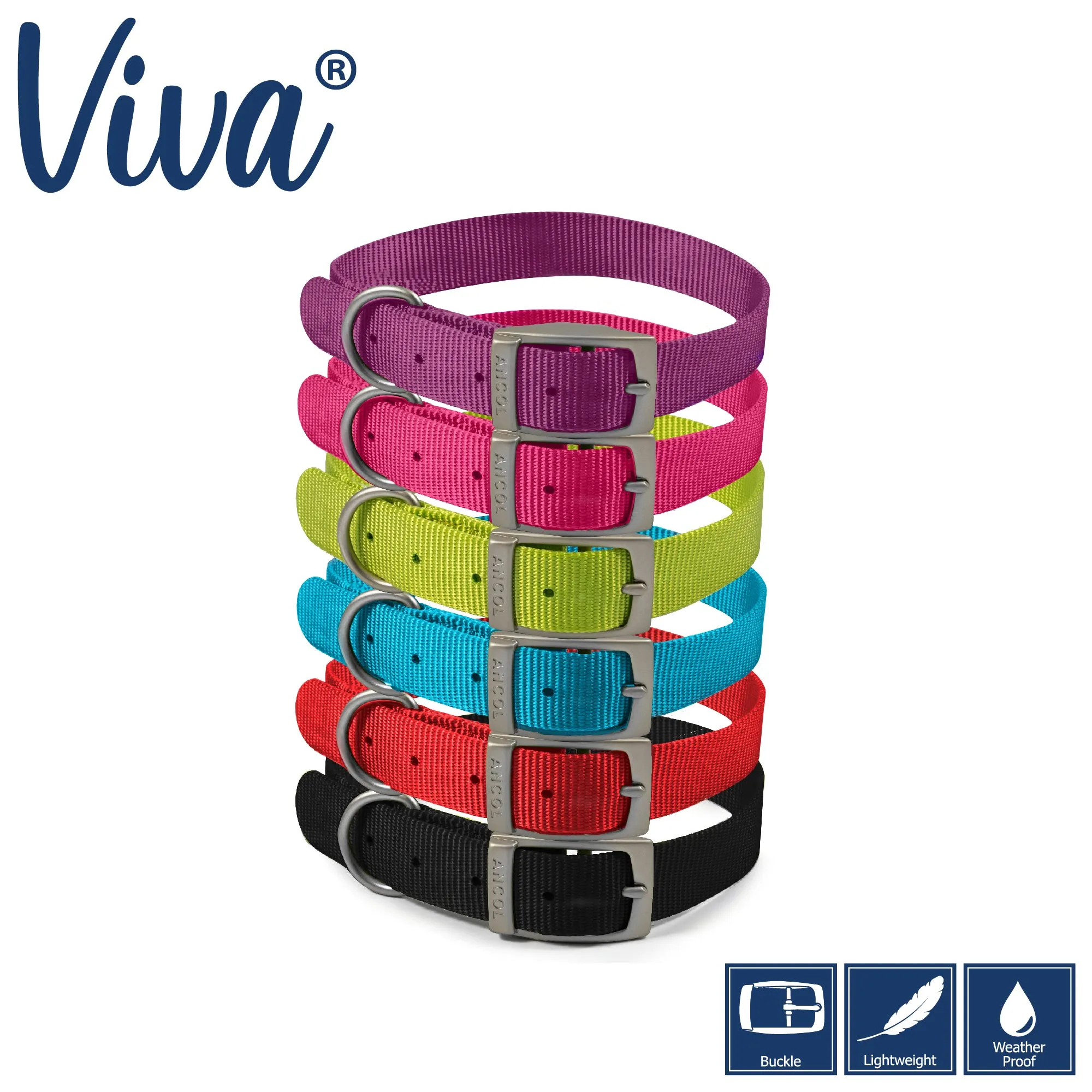 Ancol - Viva Nylon Buckle Collar - Purple - Size 4 (35-43cm)