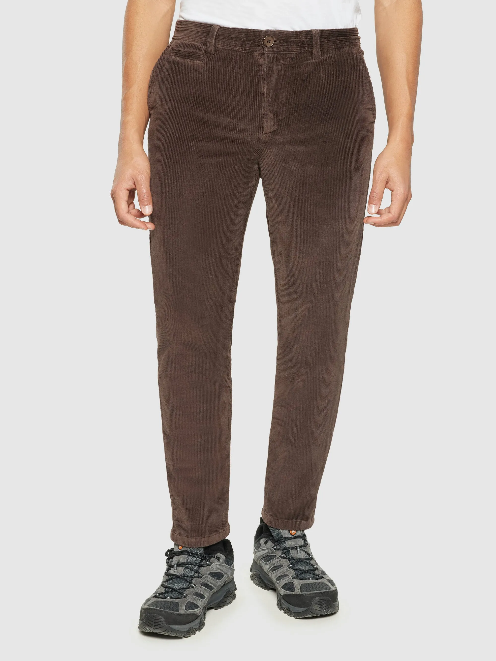 CHUCK regular 8-wales corduroy chino pants - Demitasse (brown)