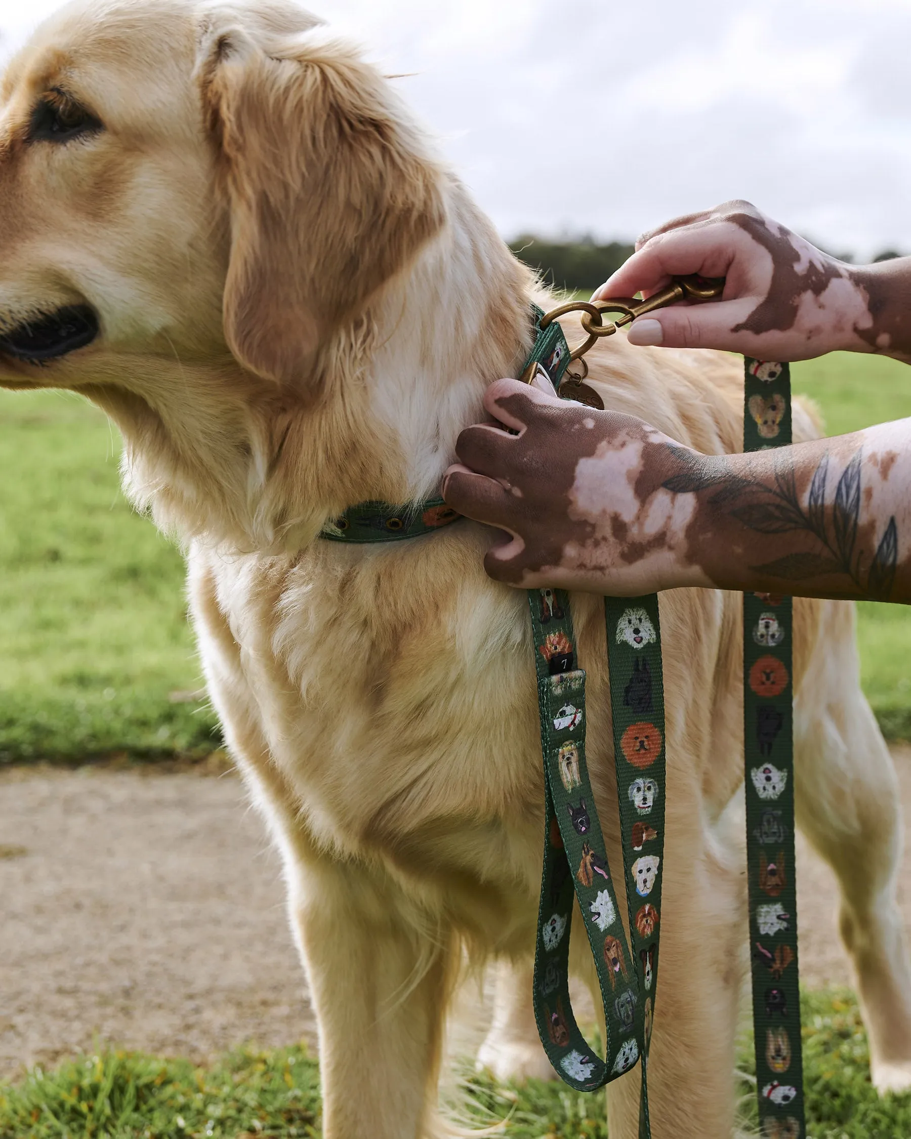 Dog Park Dog Lead