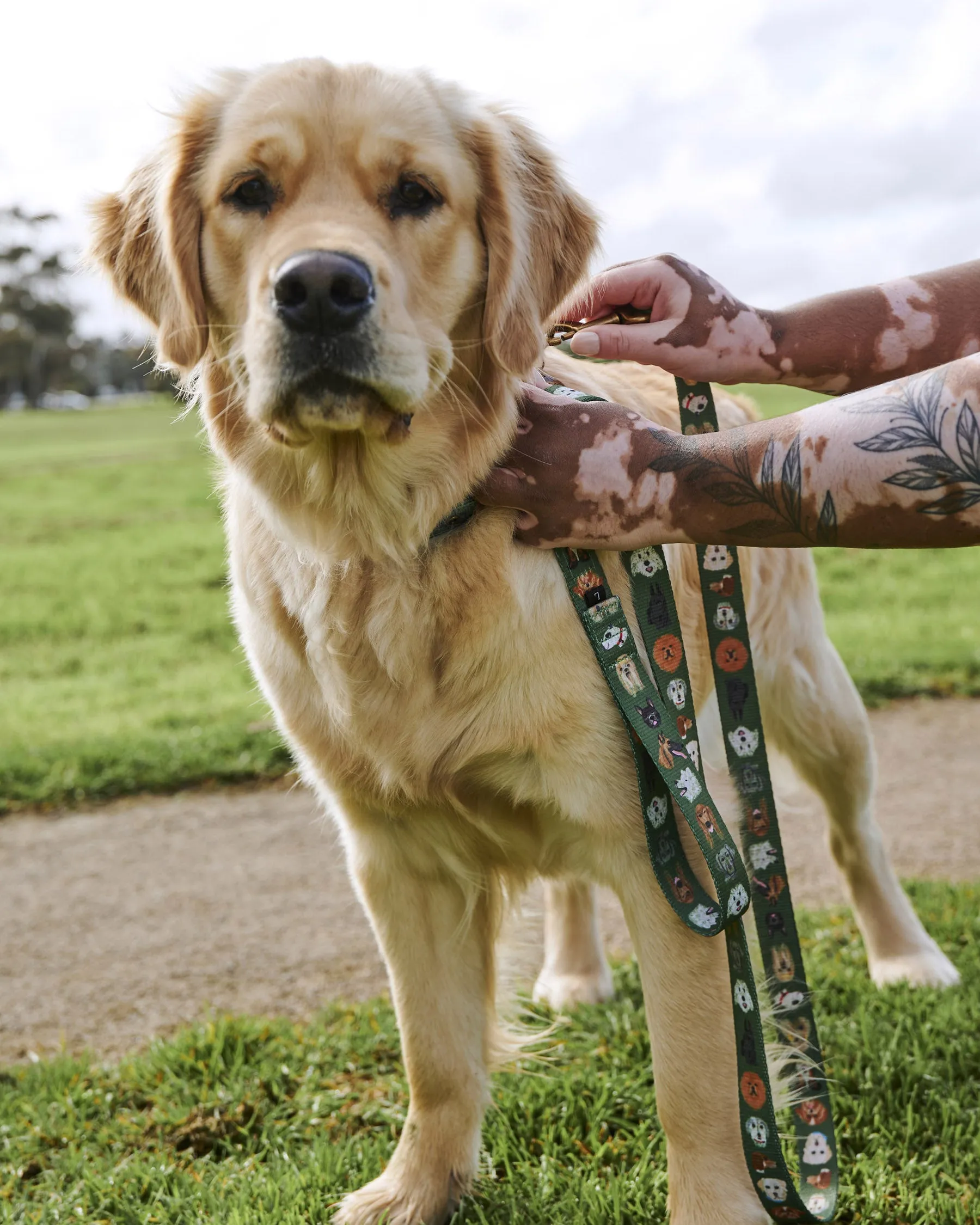 Dog Park Dog Lead