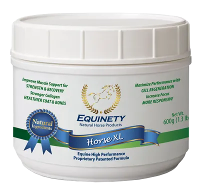 EQUINETY HORSE XL