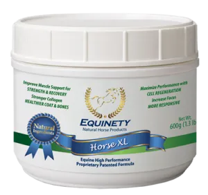 EQUINETY HORSE XL