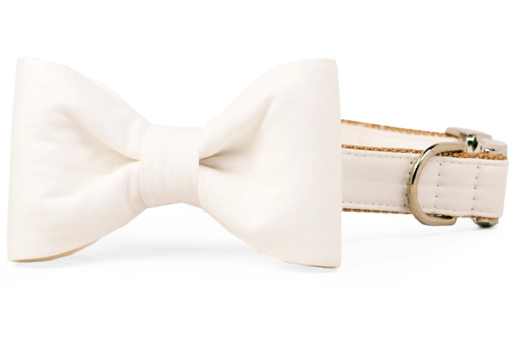 Ivory Bow Tie Dog Collar