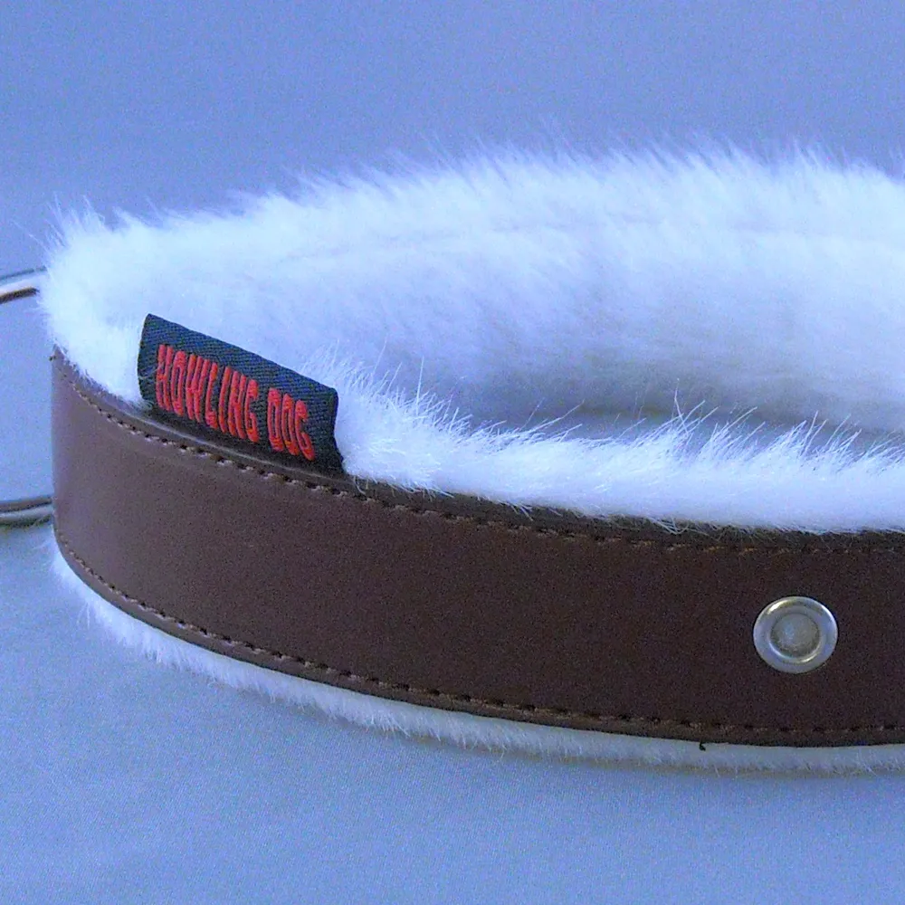 Polar Collar