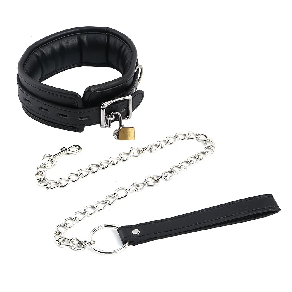 Premium Padded Collar, Lock and Lead