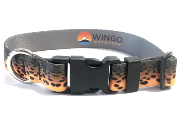 Wingo Dog Collar