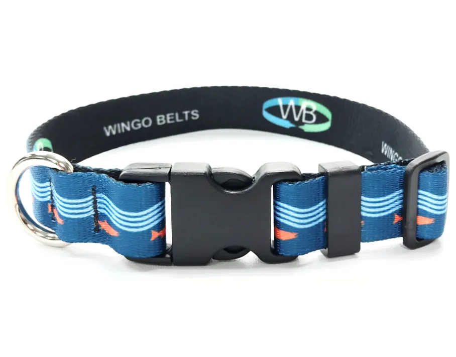 Wingo Dog Collar