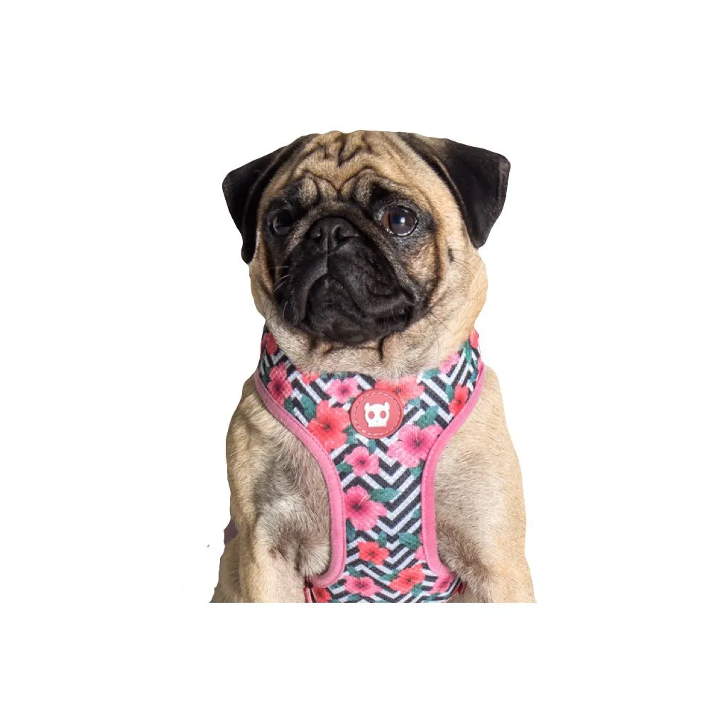 Zee.Dog Mahalo Air Mesh Plus Dog Harness